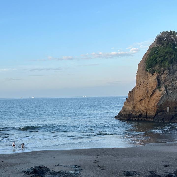 E8834584 256a 49cd 8551 f37b34c7d67d 1759618422653