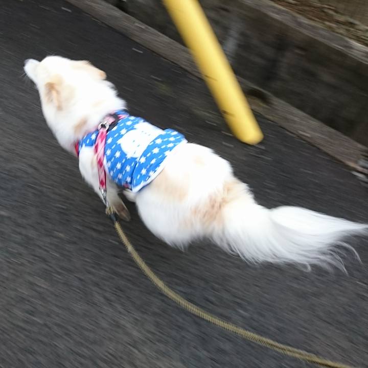 E8835164 3dbd 4f9d ae95 68c68f26b071 1508190506521