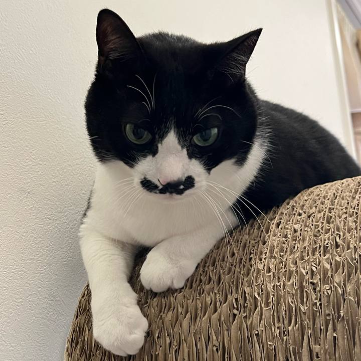 E8839f17 ebff 41e6 abdf e378a2596df4 1766443371184