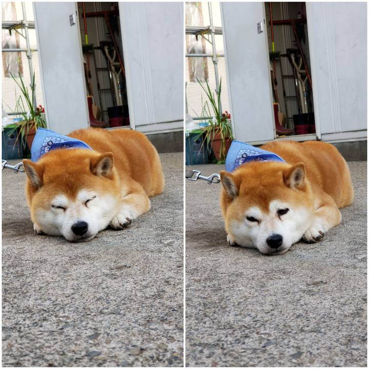 E883a60a db0a 42d5 a57e 43cb224538a5 1559206556273