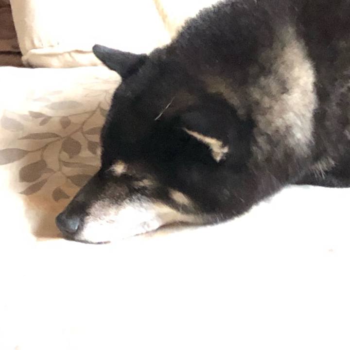 E883acbe 680d 44f2 9434 a03b58716c29 1601087420228