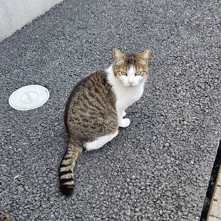 E883c57d 06bb 4f6b 9262 59db59b01291 1715484022342