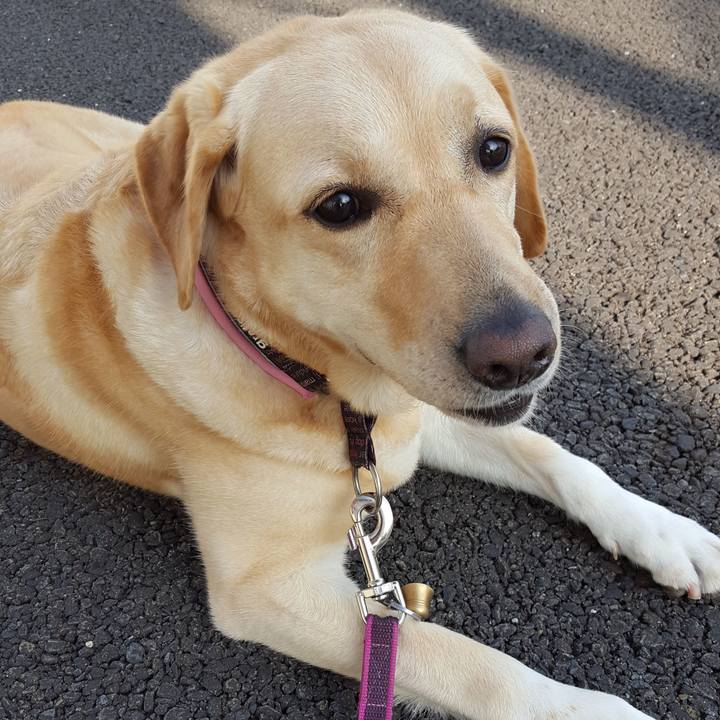 E884372a 21c9 4309 afa7 36ca62ba5e20 1529367678210