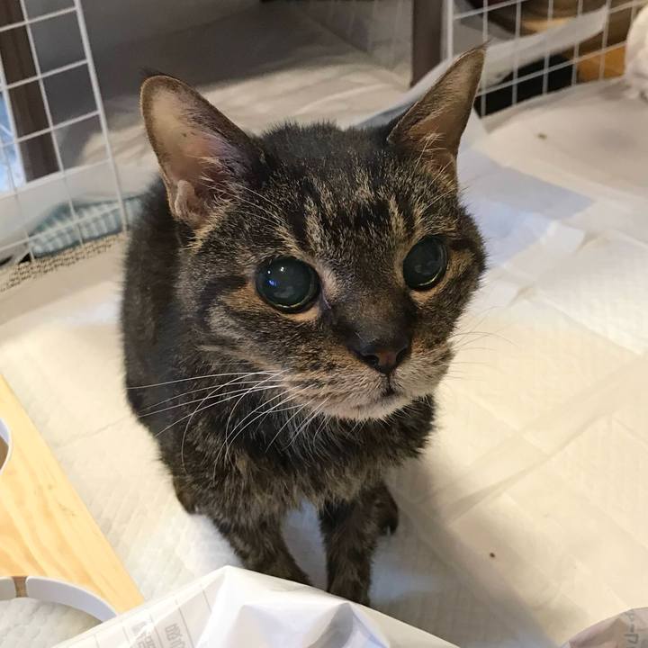 E8843d86 ad24 4ce9 add4 bdd25fdcb498 1762436878532