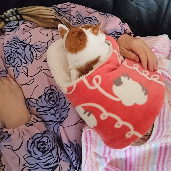 E8846756 ba4f 4d17 a613 5861a6f4def6 1642857326591