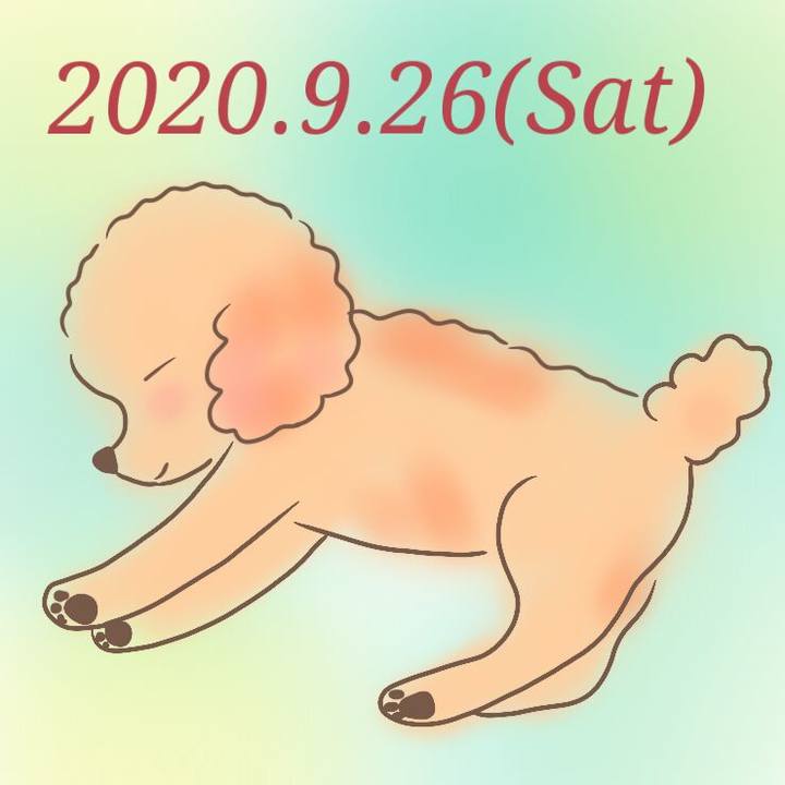 E884772d 2847 407b bb3f 44e4eb18bab4 1601128277482
