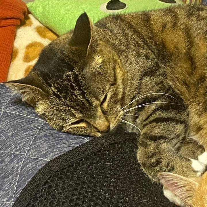 E8848e0a 2c28 47f8 8914 d22073870b50 1621253367726