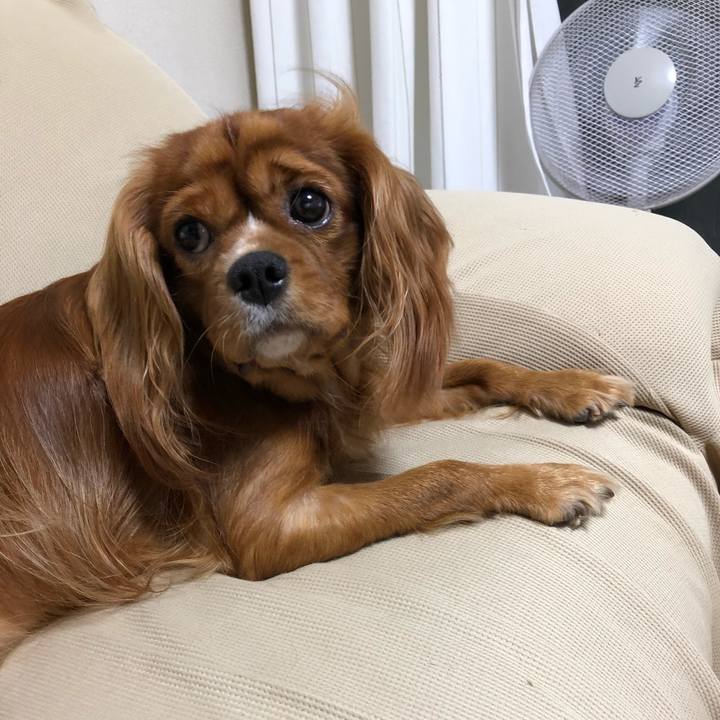 E884a83c 39ae 492f b6e6 124fc135ec1a 1568292883647