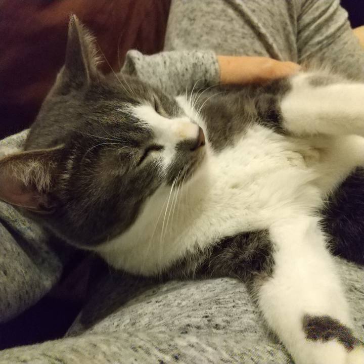 E884f050 cd68 4b2c a72c e0111f6c04fa 1609680580559