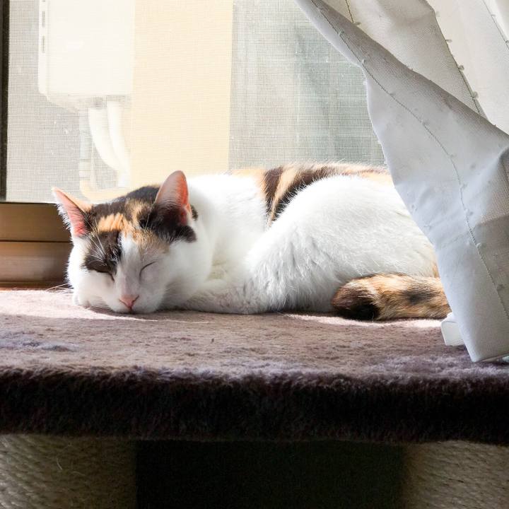 E88520f3 9054 448a 9758 dcf38bcc99e6 1525526616680