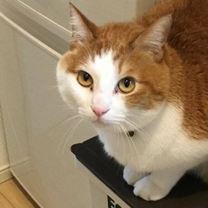 E885264a 135d 45c9 a8d1 cbe8480f6c29 1547355555699