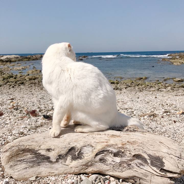 E88530e3 5367 4c26 8162 b752f5097f98 1584755569642