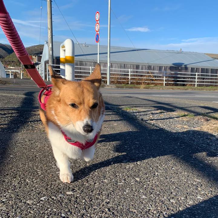 E88551c0 d72a 49ab b8c3 96dc997bb873 1709026178231