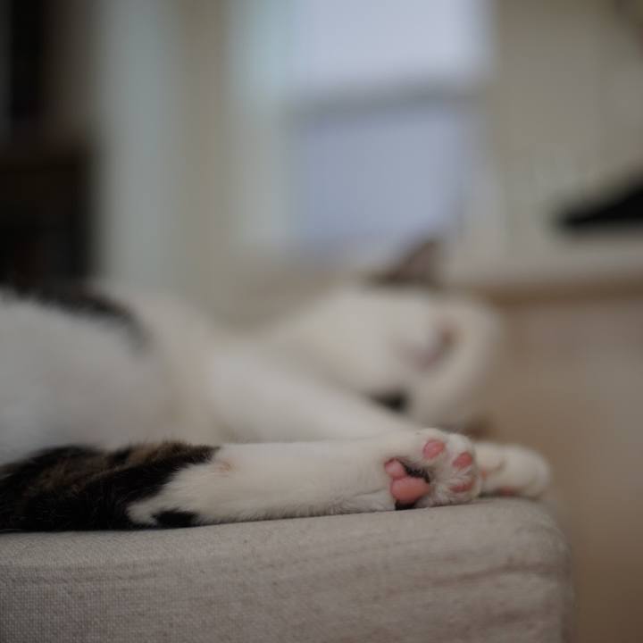 E8856645 3b5c 4e04 9876 5ffe3bc64cb0 1529623843469