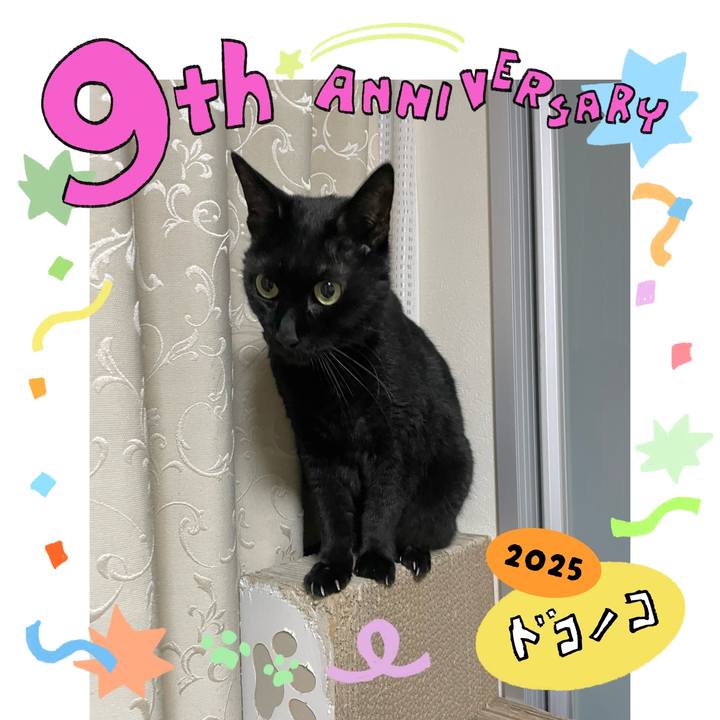 E885792f dbed 41f7 9777 beaea13d4e55 1749203063777