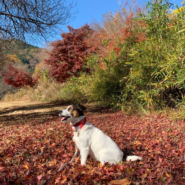 E885976b abca 49da ac4c ec44b233c7ca 1605943171769