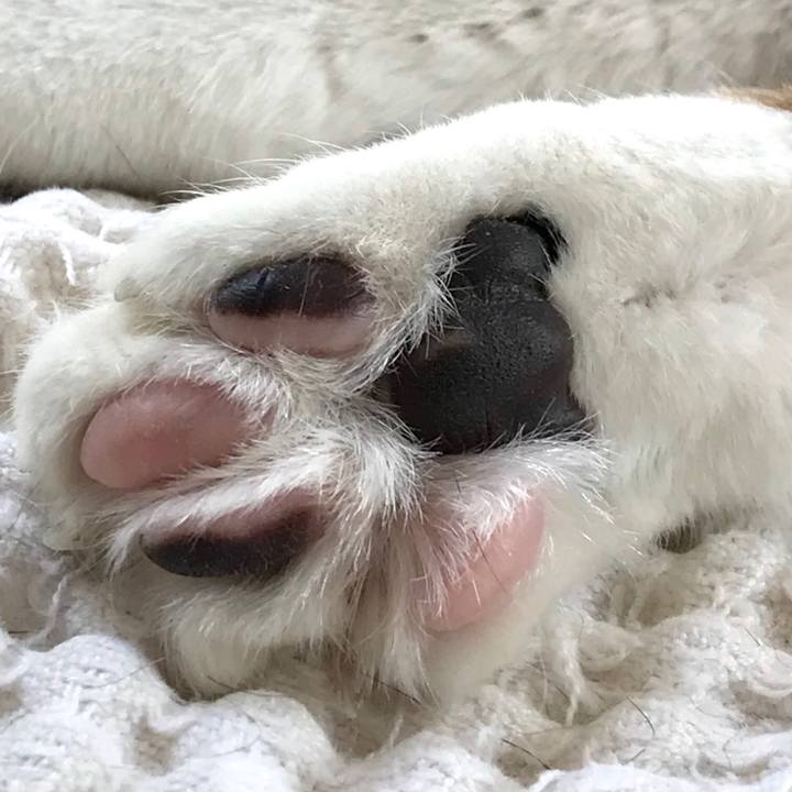 E885daba 5d34 4292 b942 db905b50bde4 1586321950968