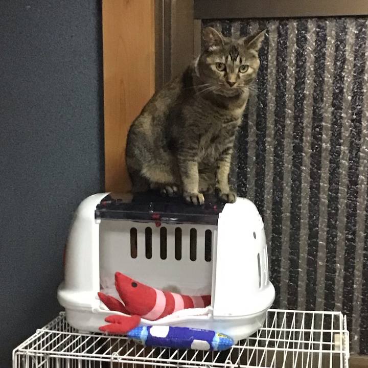 E8860efc b4bd 458e b25e debe403b4b7b 1722251897265