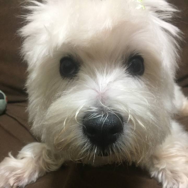 E88617ea daaf 4ba1 a550 d2206d707e8e 1537275303236