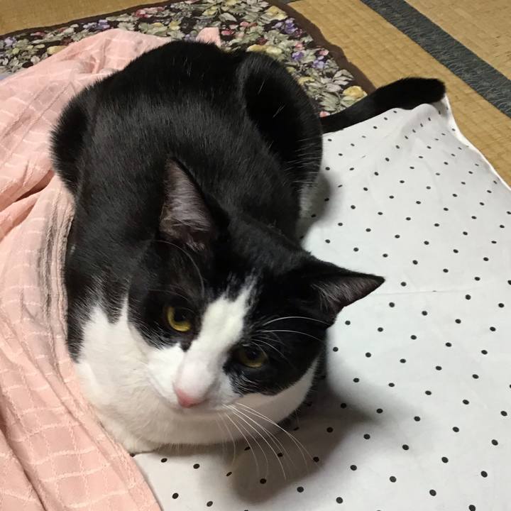 E88627d5 be6a 4795 b291 1f4be0526e14 1646297772539