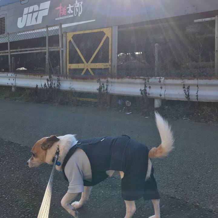 E88656f0 81d3 4929 bc42 c991d0f1b7c1 1581489609923