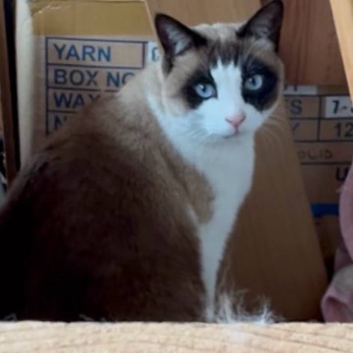 E8867780 8d34 4a9e 9085 30d8eb604750 1772622611574