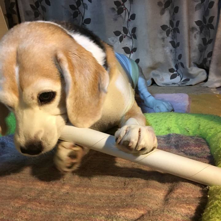 E886f8fa 6576 4683 b8ad a0f396d2c485 1556373476666