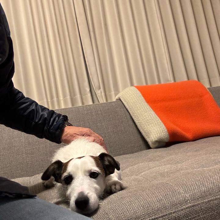 E887121e 7b70 465f 8118 1caa6888525a 1763557965770