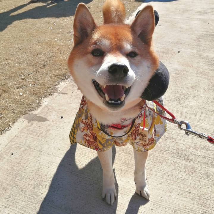 E88726a1 bfb9 40f5 8261 9ccf08b30458 1675739253878