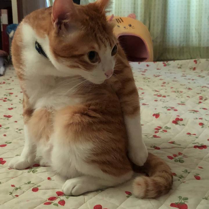 E8872ed3 f786 4e4f b719 7fc8d3c67a64 1538226095150