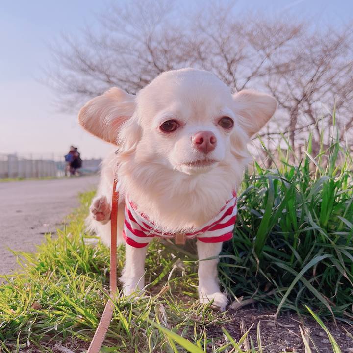 E88738a5 dc8f 4625 8a4c d09e40eb86cd 1678963697678