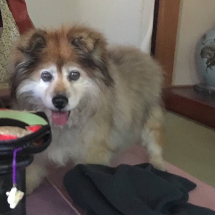 E8875b27 fbe8 4339 bcc9 4a739c906809 1576672602696