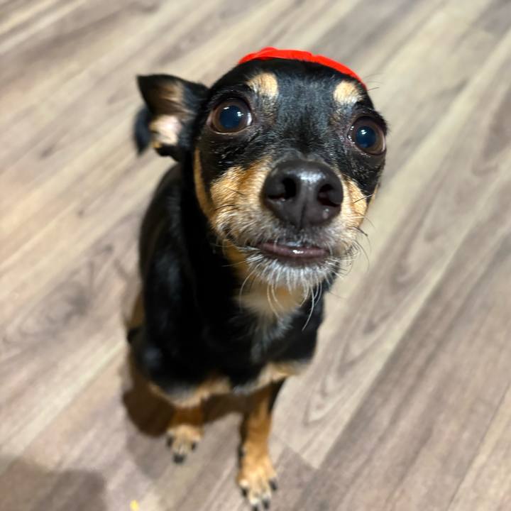 E88765f7 6de7 4781 a634 d307936246d8 1770129191292