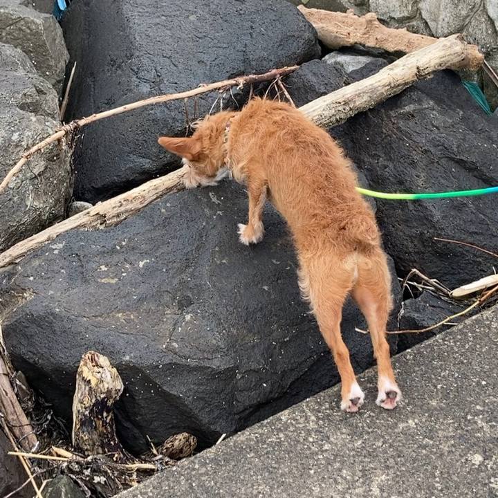 E8876df7 4aa6 495f b1d3 ecc0676a71b8 1657111049887