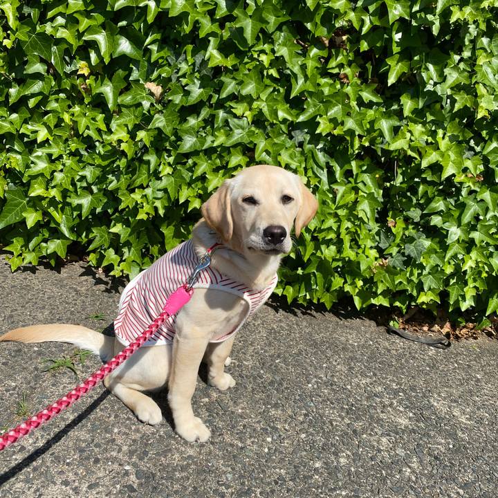 E887876e 1ad1 460c a6af 02f8dc81c455 1618813327099