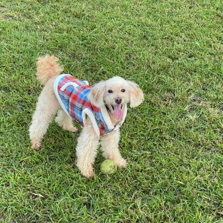 E8878f32 9ee8 432f 8400 a8b90b9598fe 1602413962245