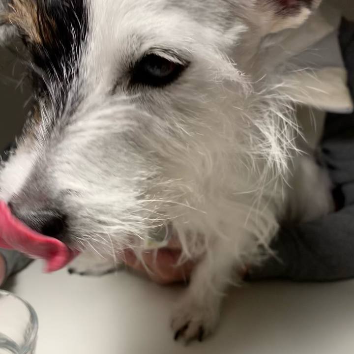 E8879397 316c 440f 991d 1cad1a0aa169 1673870041965