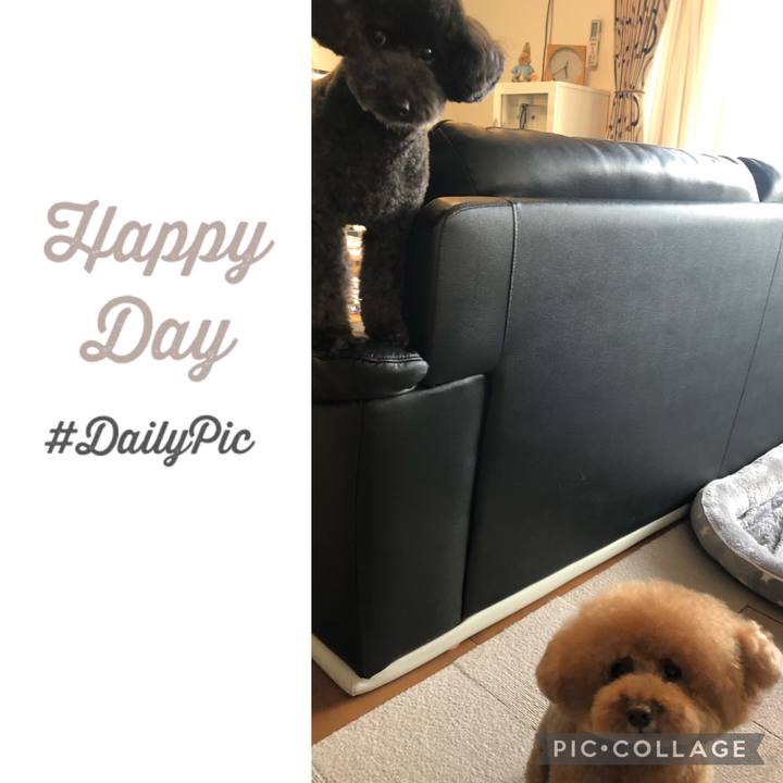 E887a2e3 fb0f 4f7b b9d3 45193ae6c6d3 1617009328765