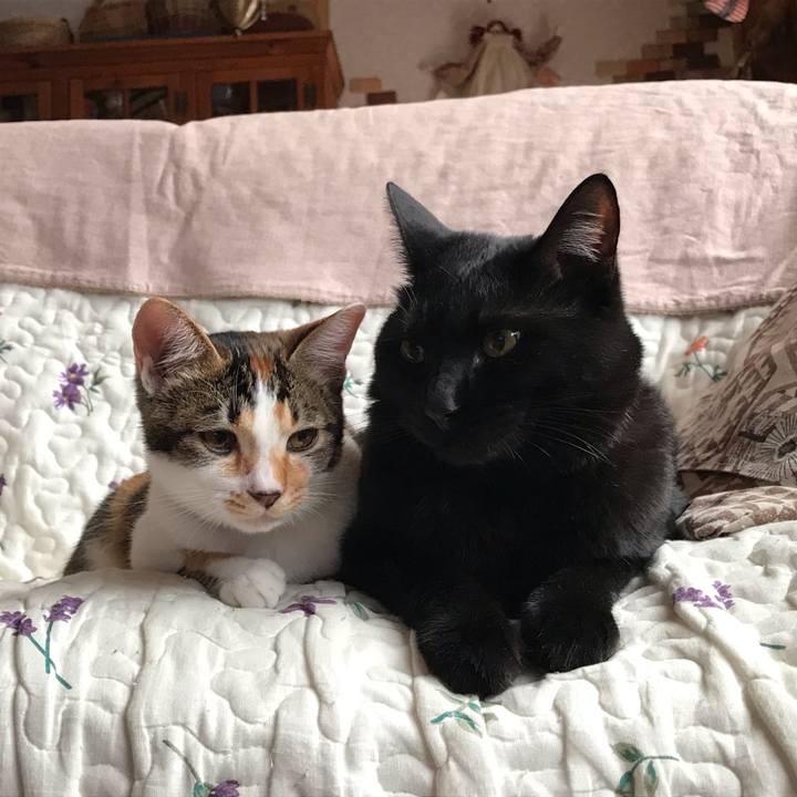 E887c413 484a 4e03 a42b 38b01c3cf1e4 1606088374620