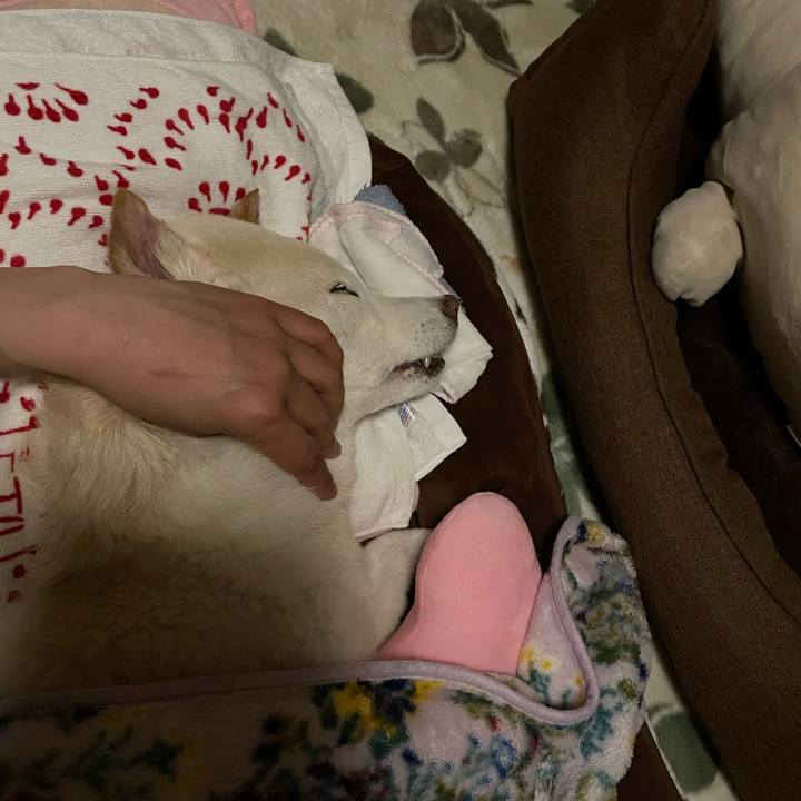 E887dee3 4ed8 4228 ad40 37d0a899ef89 1678827311444