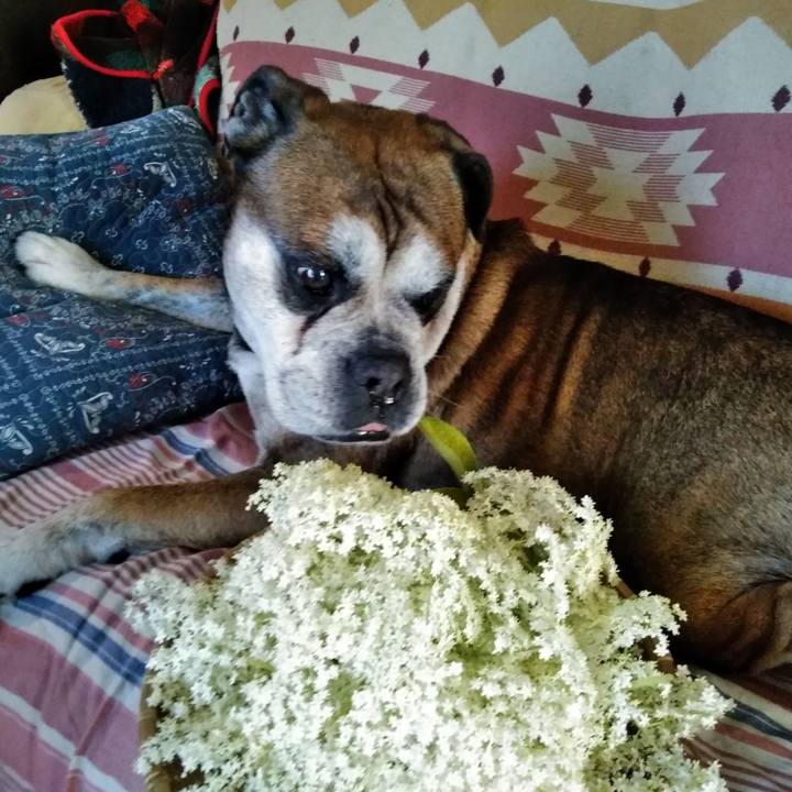 E8881d97 d3a4 4048 a20d 6fccc10947db 1558929253500