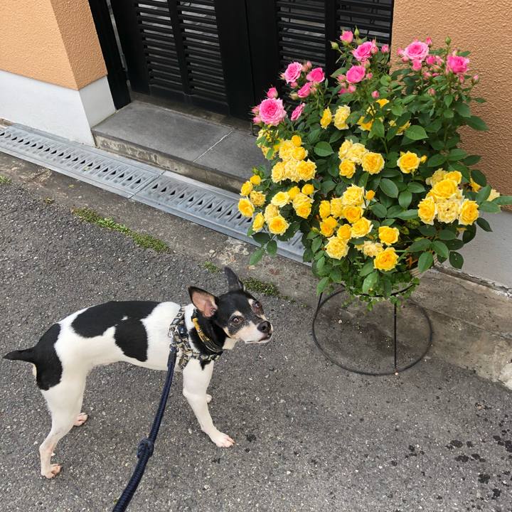 E8881ea3 8a01 4d51 9094 9cabfd7b5772 1526423556838