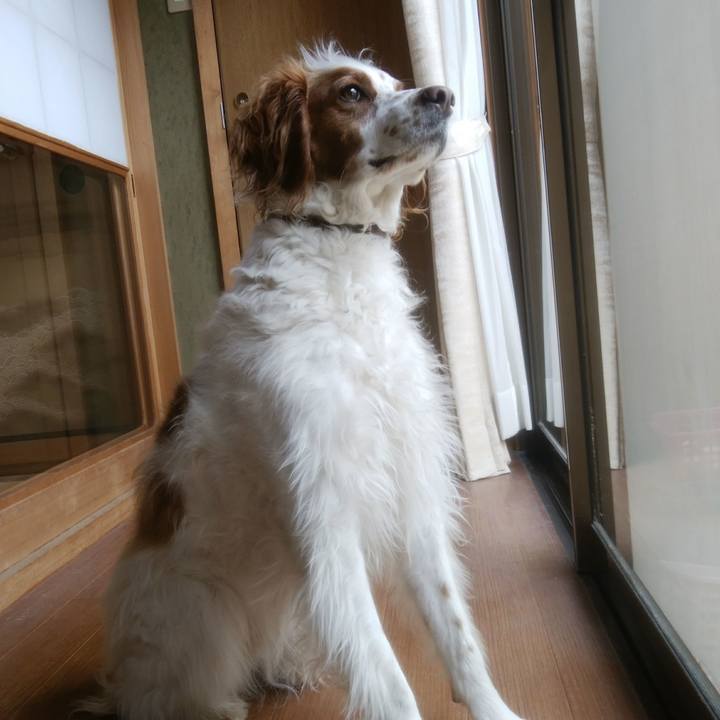 E8885bf4 8051 4b49 a5b1 2a8884e1544b 1550816260834