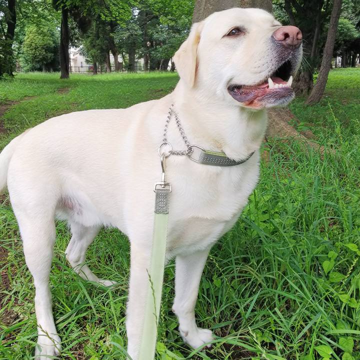 E8885d5f e591 438d aa53 c06982b0b338 1529205039596