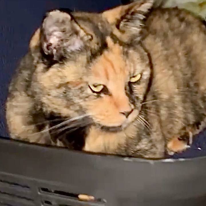 E888bbbb 3289 40cc b026 667df652bcca 1756846392493