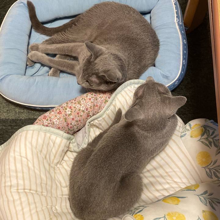 E888dcd0 d106 41b2 8e55 5666f8bf82db 1690758168069