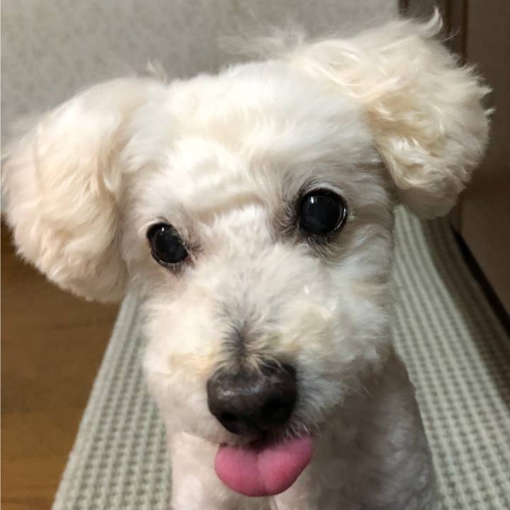 E8894921 809a 43c8 a0b7 674fdc782c1b 1530886963013