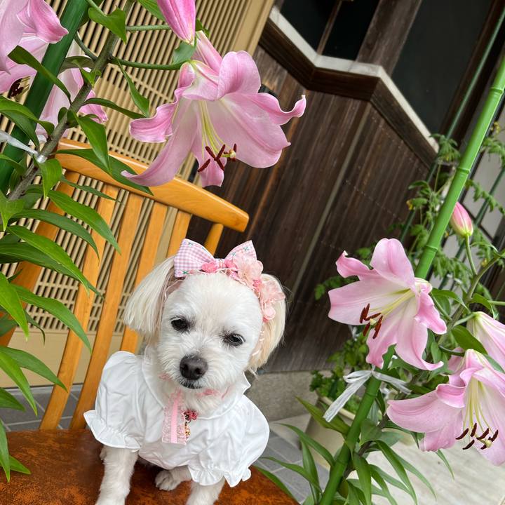 E8899a22 4209 4505 a579 b059a81e538a 1687680573206