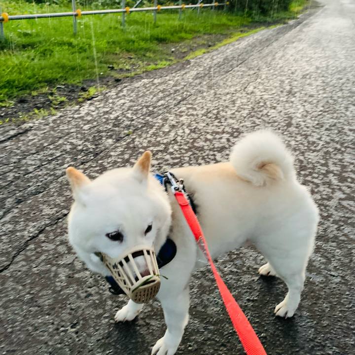 E889c326 4747 435f a7fa 8535ed67c90b 1630355158753