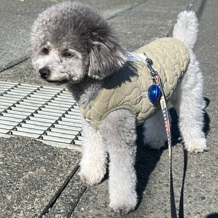 E88a35d7 a6aa 4c85 a25e 48c87a81f2b2 1769324420119